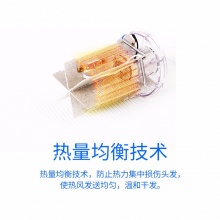 【積分兌換】飛科(FLYCO)電吹風機家用FH6251負離子可折疊吹風筒 1600W