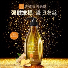 【美妝一號商城】滋源生姜強根健發洗頭水（油性頭皮）535ml 27295
